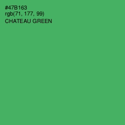 #47B163 - Chateau Green Color Image