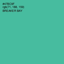 #47BC9F - Breaker Bay Color Image