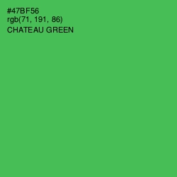 #47BF56 - Chateau Green Color Image