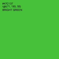 #47C137 - Bright Green Color Image