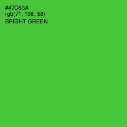#47C63A - Bright Green Color Image