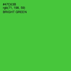 #47C63B - Bright Green Color Image