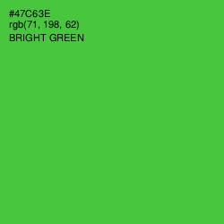 #47C63E - Bright Green Color Image