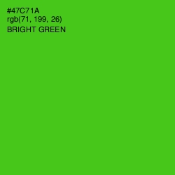 #47C71A - Bright Green Color Image
