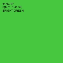 #47C73F - Bright Green Color Image