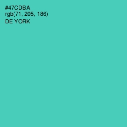 #47CDBA - De York Color Image