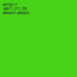 #47D317 - Bright Green Color Image