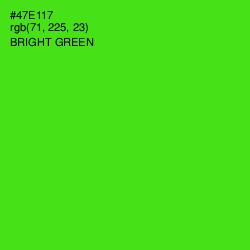 #47E117 - Bright Green Color Image