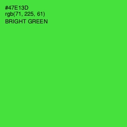 #47E13D - Bright Green Color Image