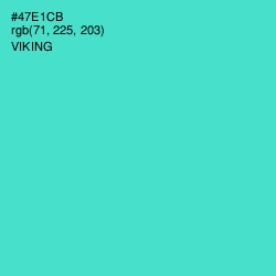 #47E1CB - Viking Color Image
