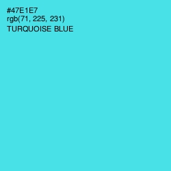 #47E1E7 - Turquoise Blue Color Image