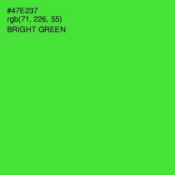 #47E237 - Bright Green Color Image