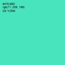 #47E4BD - De York Color Image