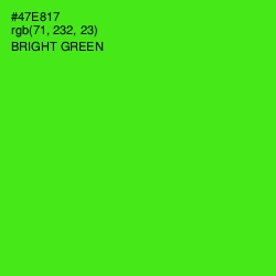 #47E817 - Bright Green Color Image