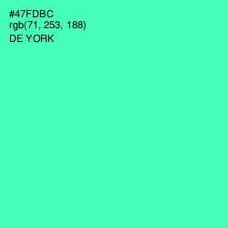 #47FDBC - De York Color Image