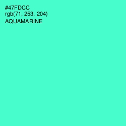 #47FDCC - Aquamarine Color Image