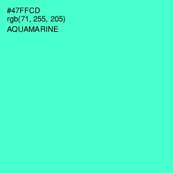 #47FFCD - Aquamarine Color Image