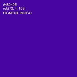 #48049E - Pigment Indigo Color Image