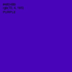 #4804B9 - Purple Color Image