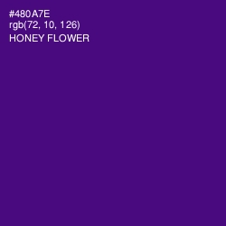#480A7E - Honey Flower Color Image