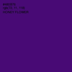 #480B76 - Honey Flower Color Image