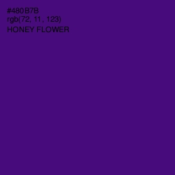 #480B7B - Honey Flower Color Image