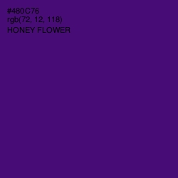 #480C76 - Honey Flower Color Image