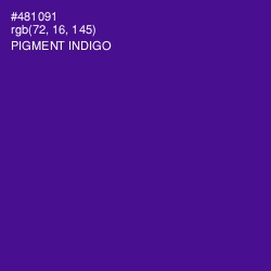 #481091 - Pigment Indigo Color Image