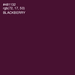 #481132 - Blackberry Color Image