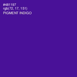 #481197 - Pigment Indigo Color Image