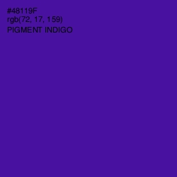 #48119F - Pigment Indigo Color Image