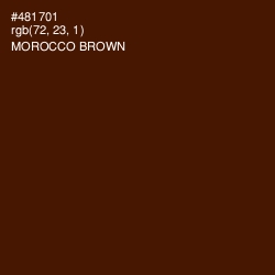 #481701 - Morocco Brown Color Image