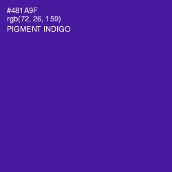 #481A9F - Pigment Indigo Color Image