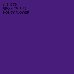 #481C7B - Honey Flower Color Image