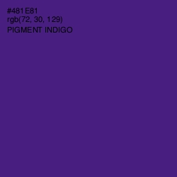 #481E81 - Pigment Indigo Color Image