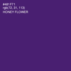 #481F71 - Honey Flower Color Image