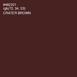 #482221 - Crater Brown Color Image