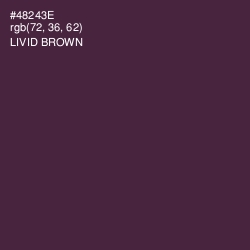 #48243E - Livid Brown Color Image