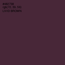 #482738 - Livid Brown Color Image