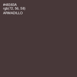 #48383A - Armadillo Color Image