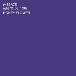 #483A7E - Honey Flower Color Image
