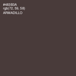 #483B3A - Armadillo Color Image