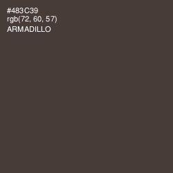 #483C39 - Armadillo Color Image