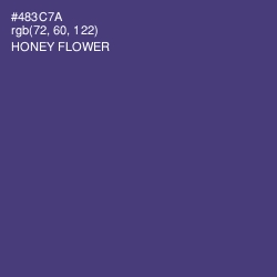#483C7A - Honey Flower Color Image