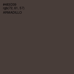 #483D39 - Armadillo Color Image