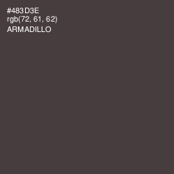 #483D3E - Armadillo Color Image