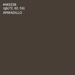 #483E38 - Armadillo Color Image