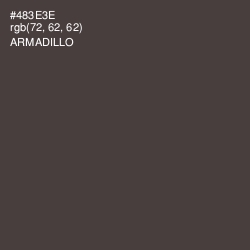 #483E3E - Armadillo Color Image