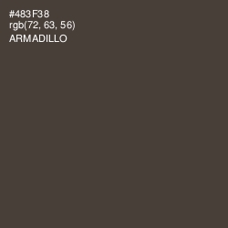 #483F38 - Armadillo Color Image