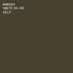 #484031 - Kelp Color Image